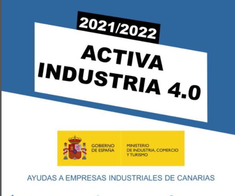 La adaptación de empresas industriales al entorno digital